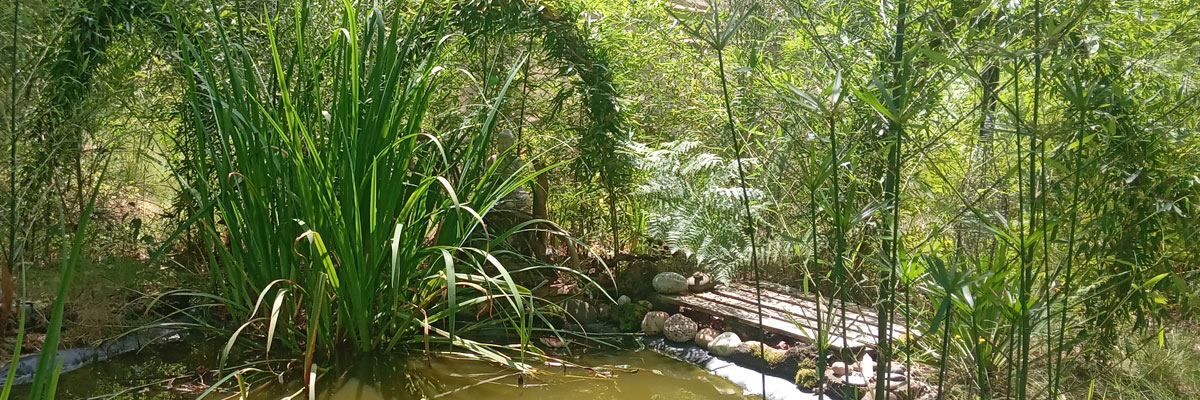 mare aux fées
