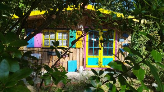 cabane dans la forêt landaise