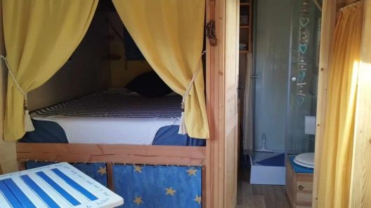un nid dans la forêt