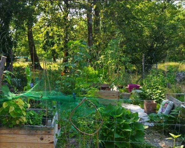 permaculture