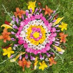 Fleurs hymne des femmes