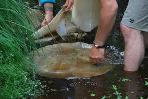 fabrication tambour sacre