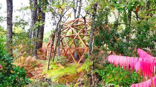 Site d'accueil: l'Oracle Luglon