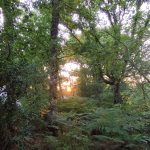 coucher de soleil à l'Oracle